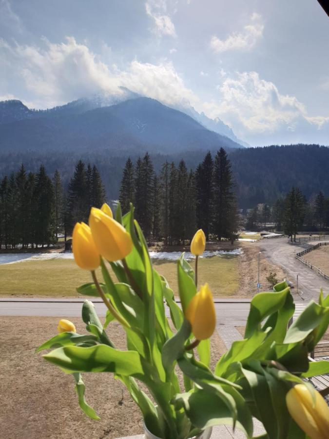Apartma Kurji Vrh - Chicken Top Kranjska Gora Exterior photo