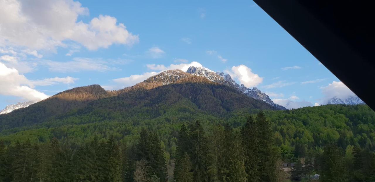 Apartma Kurji Vrh - Chicken Top Kranjska Gora Exterior photo